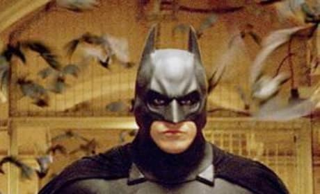 DC Comic Fans: Batman and Justice League Coming Soon