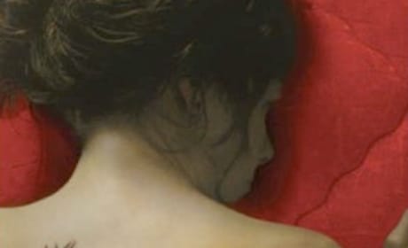 The Girl with the Dragon Tattoo Book Cover