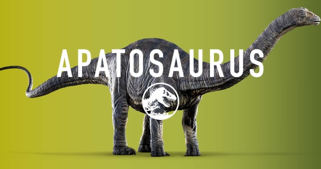 The Apatosaurus