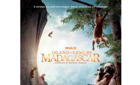 Island of Lemurs: Madagascar Prize Poster
