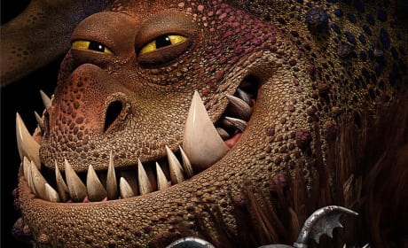 How to Train Your Dragon 2: Fishlegs Character Poster Premieres