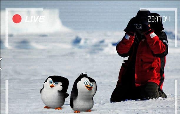 A New March of the Penguins