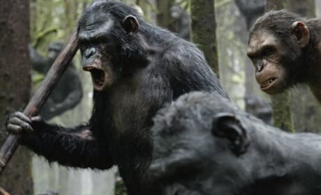 Dawn of the Planet of the Apes: 9 Things We Learned From Seeing Footage
