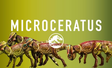 Jurassic World Microceratus