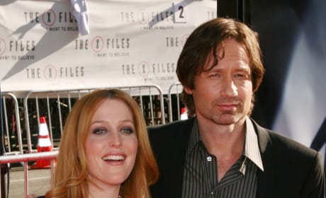 David Duchovny and Gillian Anderson Pose on the Red Carpet