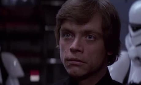 Mark Hamill is Luke Skywalker