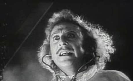 Dr. Frederick Frankenstein Picture