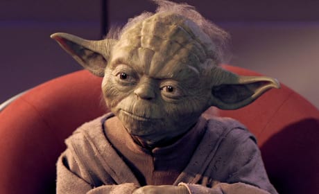 The Phantom Menace Yoda