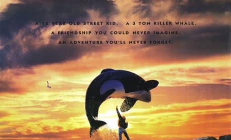 Free Willy Poster