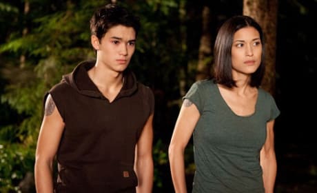 Wolf Pack Gets Close-up in New Breaking Dawn Photos