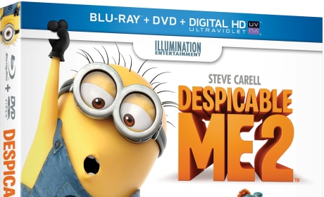 Despicable Me 2 DVD Review: Minion Mini Movie & More!