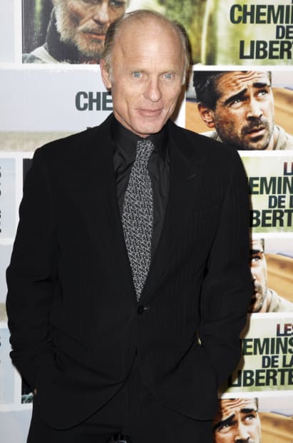 Diane Keaton, Ed Harris Sign On To The Look Of Love - Movie Fanatic