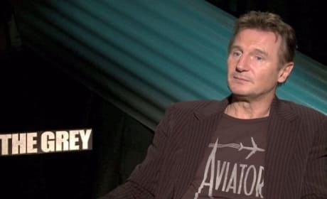 Liam Neeson Interview Pic
