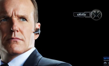 The Avengers Wallpaper: Agent Coulson