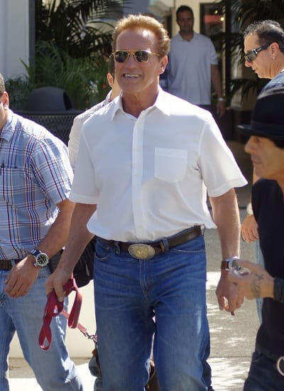 Arnold Schwarzenegger Begins Work on The Last Stand