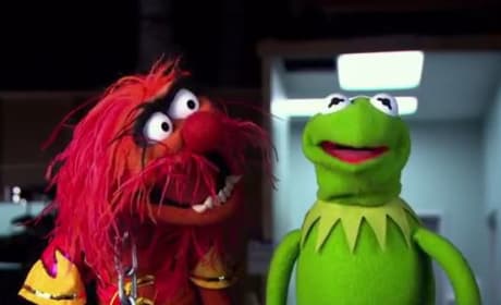 Kermit Muppets Most Wanted