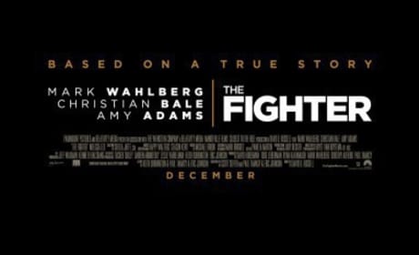 The Fighter Poster