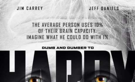 Dumb and Dumber To: Harry Is Lucy Parody Poster
