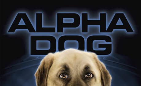 Cats and Dogs Alpha Dog Poster