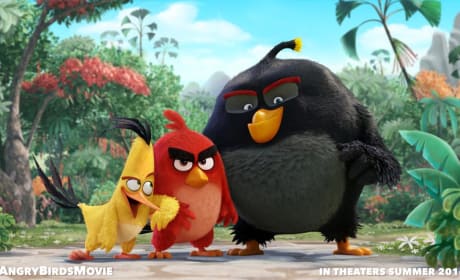 Angry Birds Movie Still