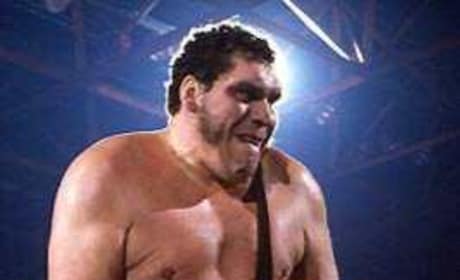 AndrÃ© the Giant Picture