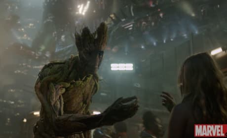 Guardians of the Galaxy Groot Flower