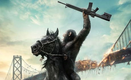 Dawn of the Planet of the Apes Poster Picture