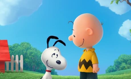 Peanuts Snoopy Charlie Brown