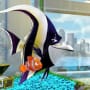 Gill and Nemo