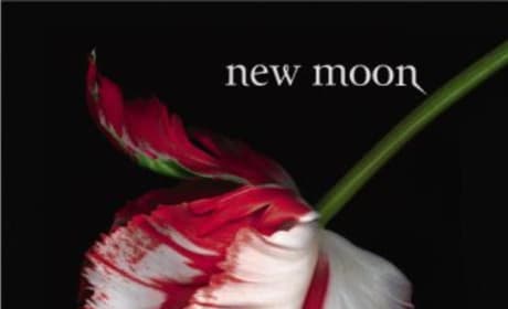 New Moon Cover