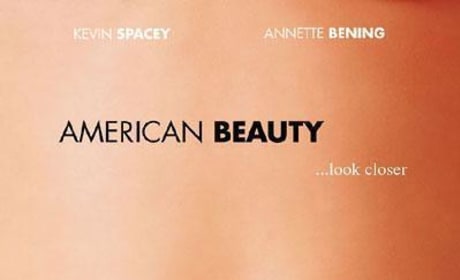 American Beauty Picture