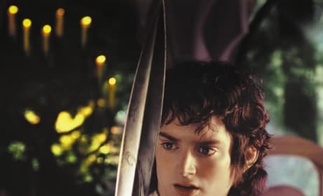 The Lord of the Rings Elijah Wood