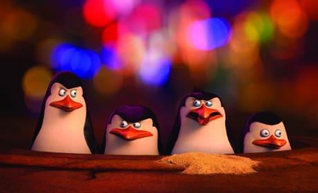 The Penguins of Madagascar Photo