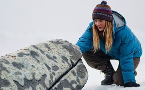 Drew Barrymore Stars in Big Miracle