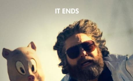 The Hangover Part III Poster Stars Zach Galifianakis