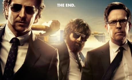 The Hangover Part III Poster: It Ends