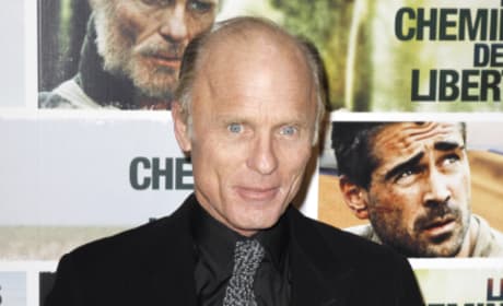 Diane Keaton, Ed Harris Sign On To The Look Of Love