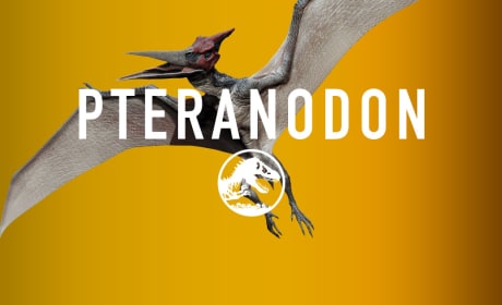 Jurassic World Pteranodon