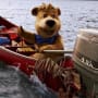 Boo-Boo's Boat