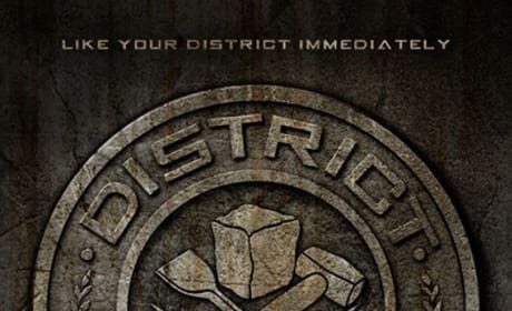 The Hunger Games Badges: Masonry