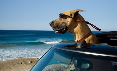 Cruisin in Style