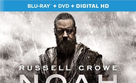 Noah DVD Review: Russell Crowe's Biblical Storm Finds a Home