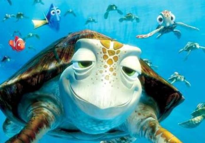 Crush The Sea Turtle Movie Fanatic