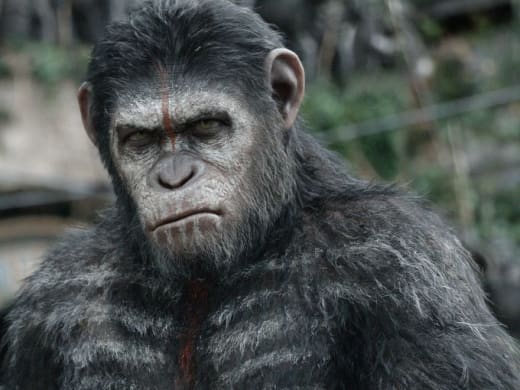 Dawn of the Planet of the Apes Caesar