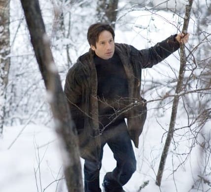 Fox Mulder Photo