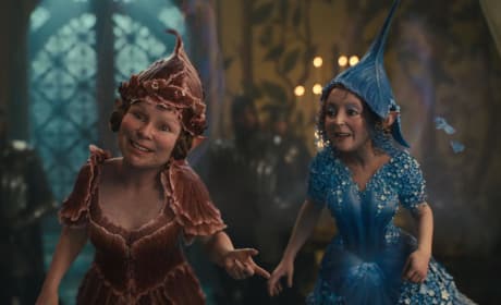 Maleficent Fairies