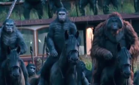 Dawn of the Planet of the Apes Picture