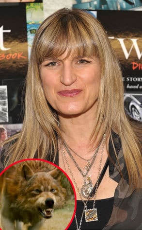 Catherine Hardwicke Pic