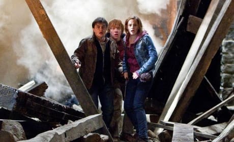 Harry Potter Stars Shoot New Scenes: Something to Do With Gringotts!