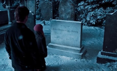 The Potter Grave